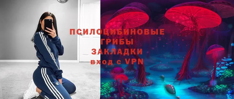 KRAKEN вход  Кирсанов  Псилоцибиновые грибы Psilocybe 